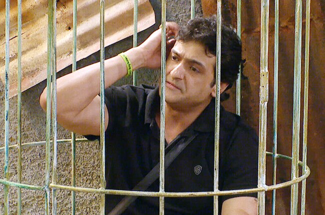 Bigg Boss के नए टास्‍क में बनी गौहर-तनिषा की जोड़ी