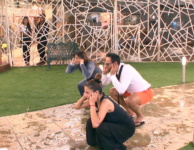 Bigg Boss के नए टास्‍क में बनी गौहर-तनिषा की जोड़ी