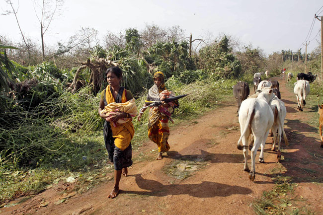 गुजर गया पिलिन, छोड़ गया तबाही, देखें तस्‍वीरें