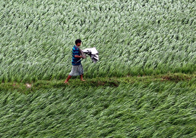 गुजर गया पिलिन, छोड़ गया तबाही, देखें तस्‍वीरें