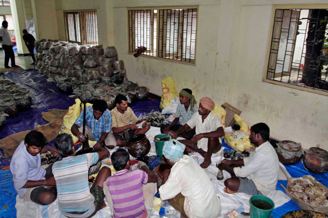 समुद्र तट से टकराया महातूफान ‘पिलिन’, देखें तस्‍वीरें