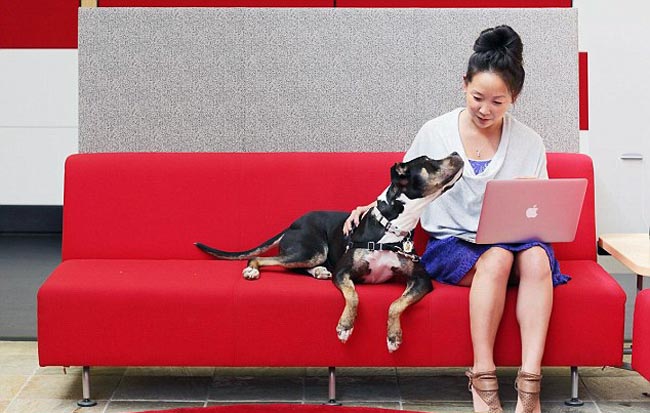 PHOTO: देखें, यूट्यूब के दफ्तर का नजारा