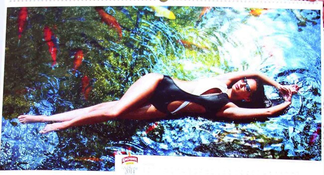 किंगफिशर कैलेंडर 2014 की खूबसूरती