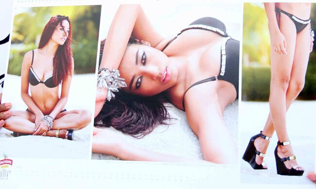 किंगफिशर कैलेंडर 2014 की खूबसूरती