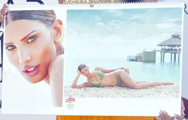 किंगफिशर कैलेंडर 2014 की खूबसूरती