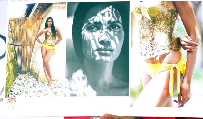 किंगफिशर कैलेंडर 2014 की खूबसूरती