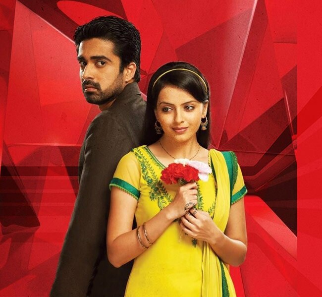 साल 2013 में इन टीवी सीरियल्‍स की हुई एंट्री