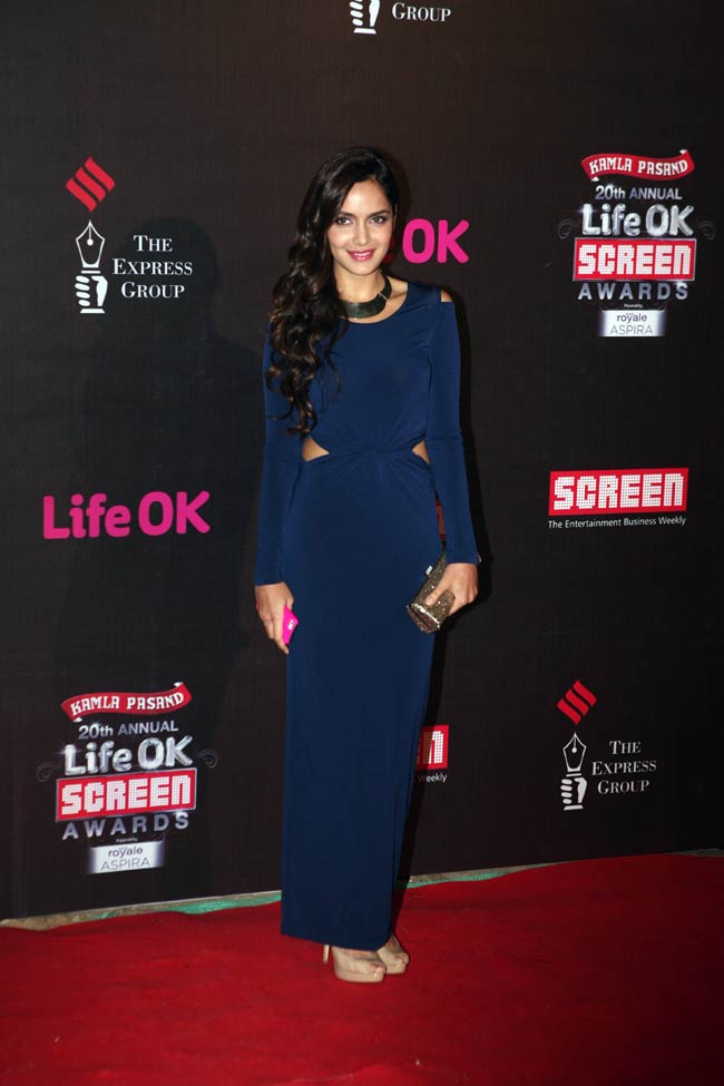 स्क्रीन अवॉर्ड्स 2014: 'रेड कार्पेट' पर ऐसे पहुंचे बॉलीवुड सितारे...