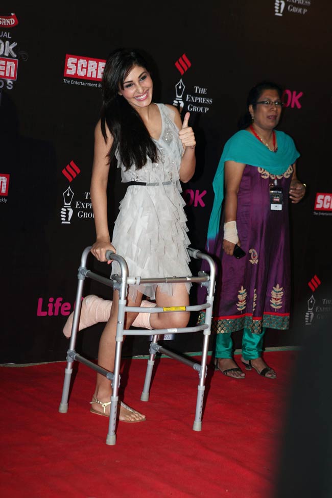 स्क्रीन अवॉर्ड्स 2014: 'रेड कार्पेट' पर ऐसे पहुंचे बॉलीवुड सितारे...