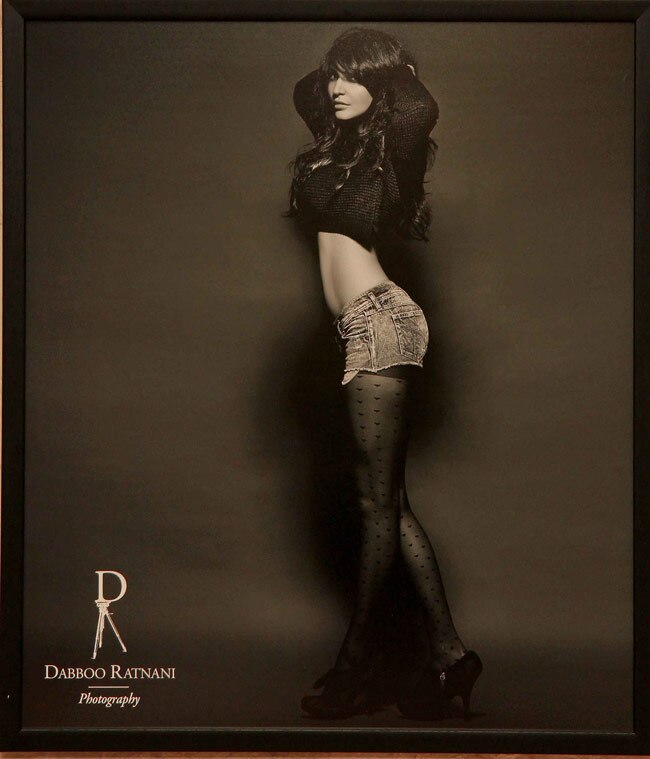 देखें, डब्बू रत्नानी का दिलकश सेलिब्रिटी कैलेंडर 2014