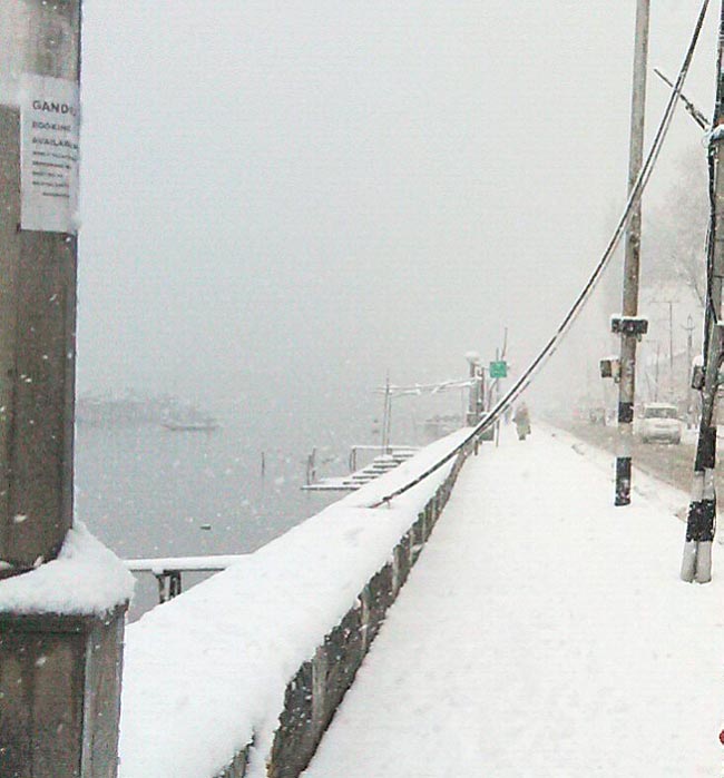 जमकर हुई बर्फबारी, सफेद चादर से ढका कश्मीर