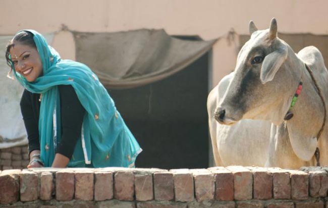 अमेरिका की पार्टी गर्ल भारत में धो रही है बर्तन