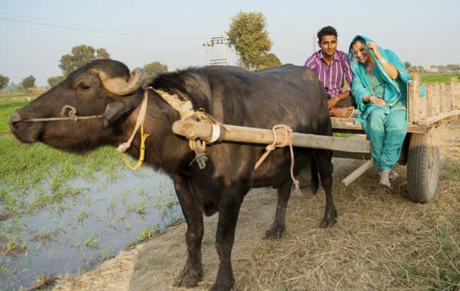 अमेरिका की पार्टी गर्ल भारत में धो रही है बर्तन