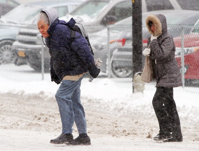 'पोलर पिग' का अमेरिका में कहर, लोगों का जीना मुहाल