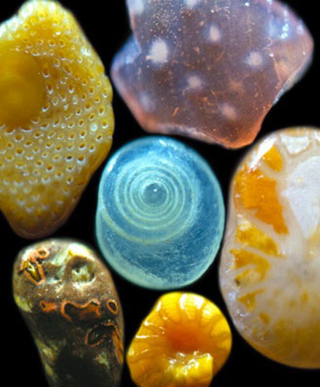 ये रेत के कण हैं या मनमोहक रत्‍नों के ढेर...