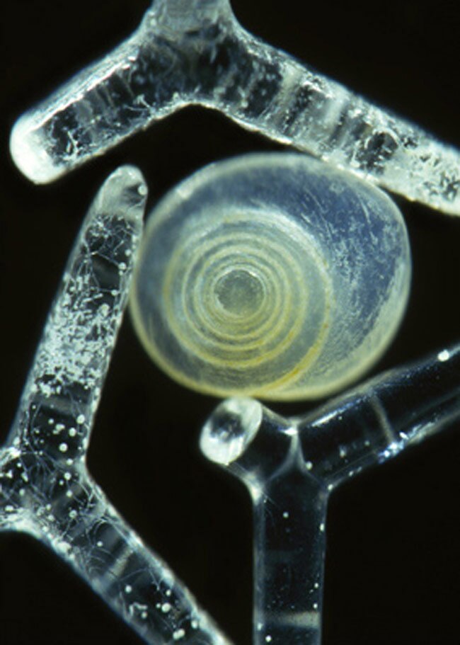 ये रेत के कण हैं या मनमोहक रत्‍नों के ढेर...