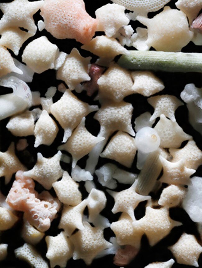 ये रेत के कण हैं या मनमोहक रत्‍नों के ढेर...