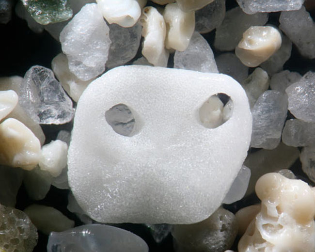 ये रेत के कण हैं या मनमोहक रत्‍नों के ढेर...