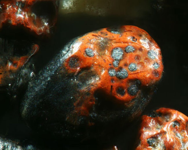 ये रेत के कण हैं या मनमोहक रत्‍नों के ढेर...