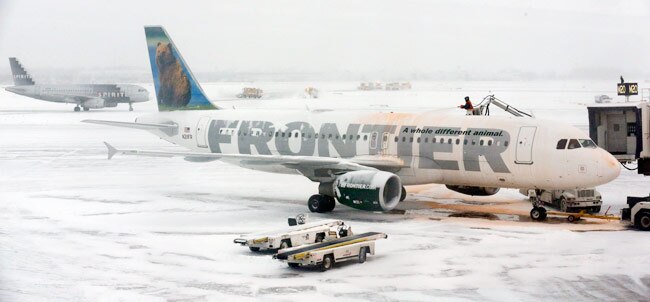 'पोलर पिग' का अमेरिका में कहर, लोगों का जीना मुहाल