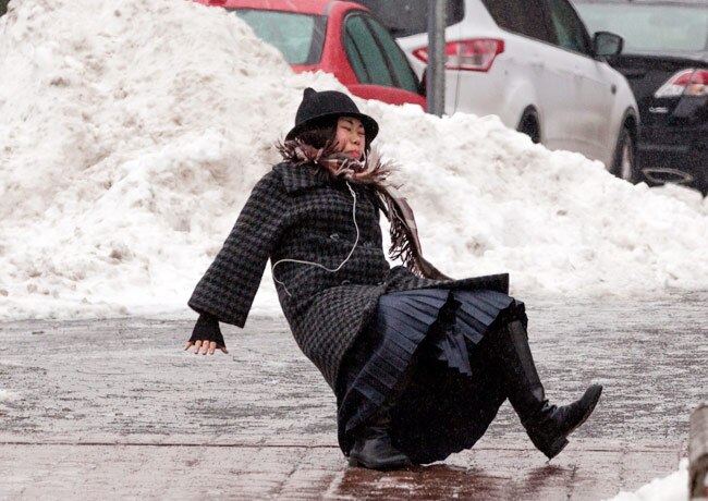 'पोलर पिग' का अमेरिका में कहर, लोगों का जीना मुहाल