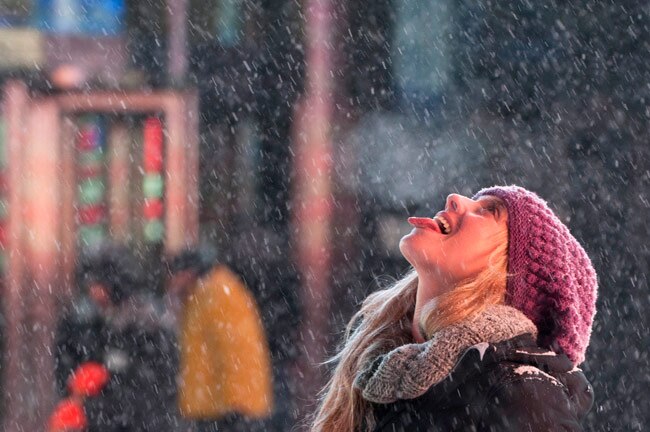 'पोलर पिग' का अमेरिका में कहर, लोगों का जीना मुहाल