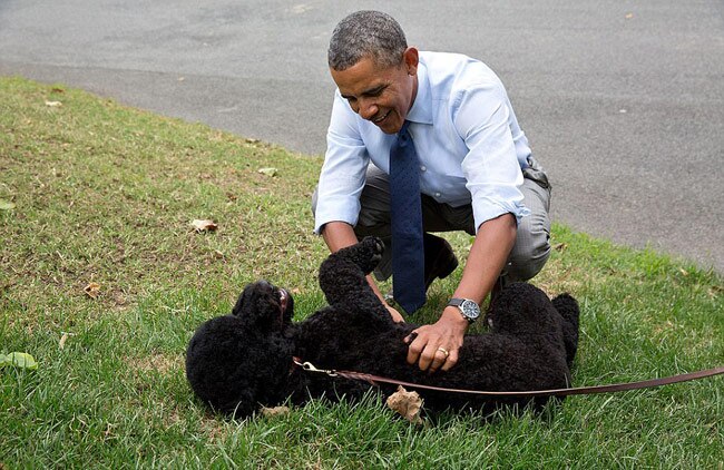 यूं गुजरा अमेरिकी राष्ट्रपति बराक ओबामा का साल