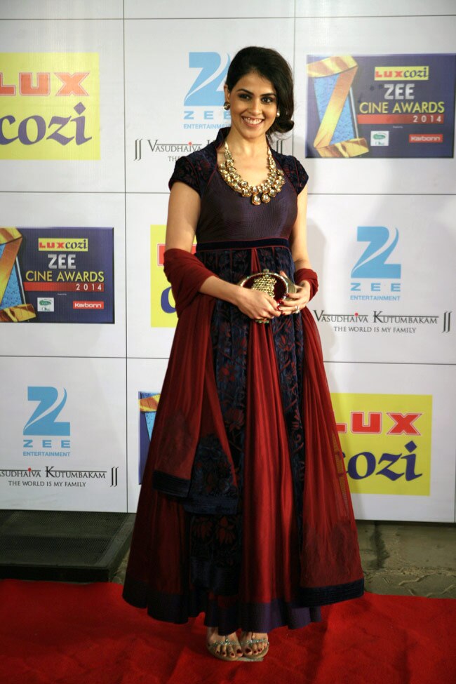 जी सिने अवॉर्डस 2014: रंग में दिखे सितारे