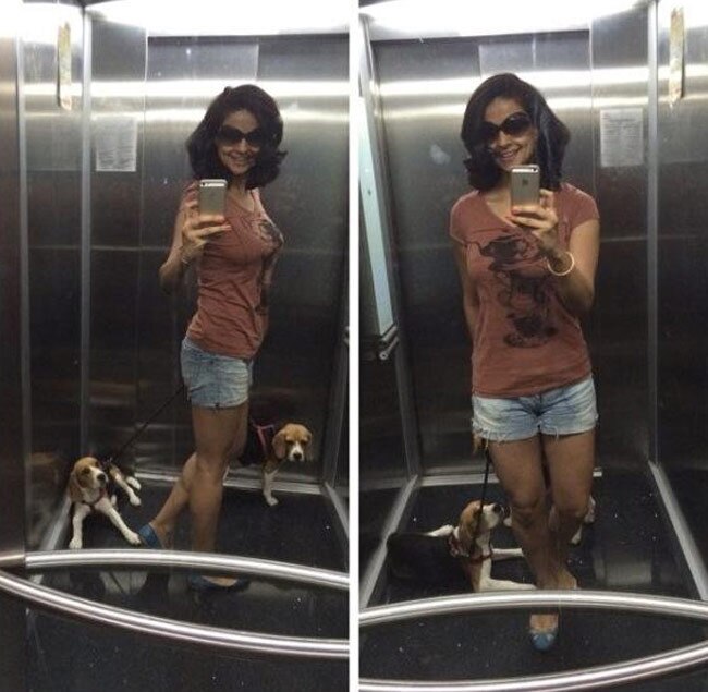 सेल्फी क्वीन हैं AAP की चंडीगढ़ उम्मीदवार गुल पनाग