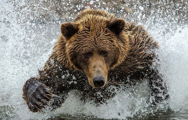 आपको हैरान कर देंगी ये खूबसूरत तस्‍वीरें