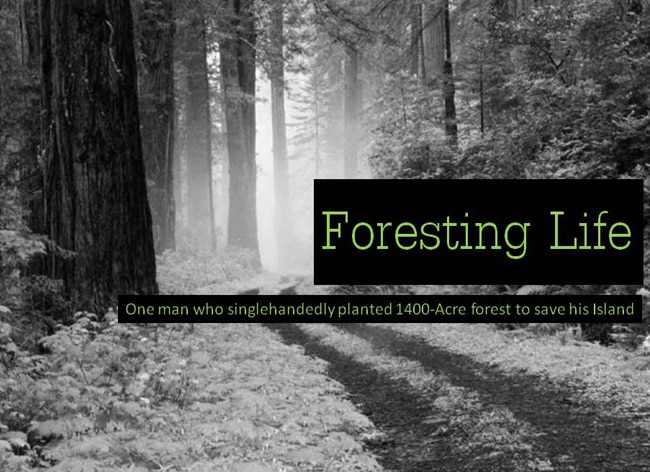 61वें राष्‍ट्रीय फिल्‍म पुरस्‍कारों में इन फिल्‍मों ने मारी बाजी