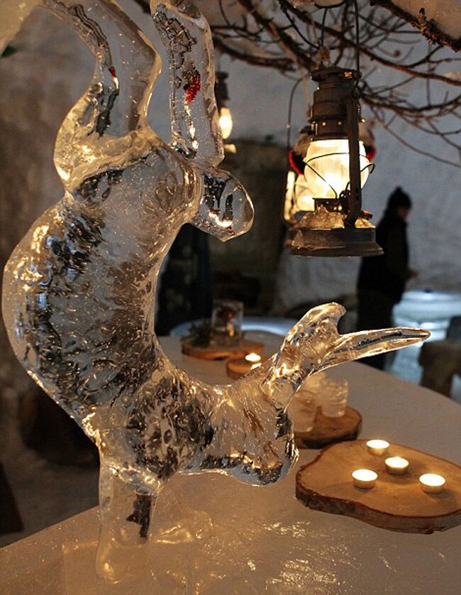 अगर इस होटल में बिता ली पूरी रात, तो मिलेगा डिप्लोमा