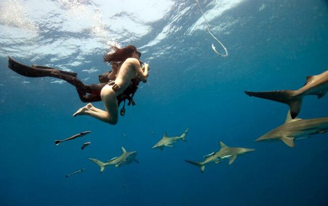 जब लोगों को सबक सिखाने के लिए महिला ने शार्क के साथ की स्विमिंग