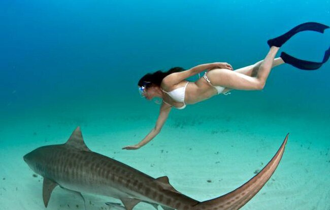 जब लोगों को सबक सिखाने के लिए महिला ने शार्क के साथ की स्विमिंग