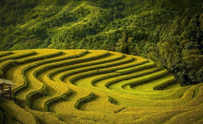 आपको हैरान कर देंगी ये खूबसूरत तस्‍वीरें