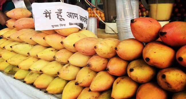 इलेक्शन एक्सप्रेस: जब कैमरे में कैद हुआ चुनाव का हर रंग