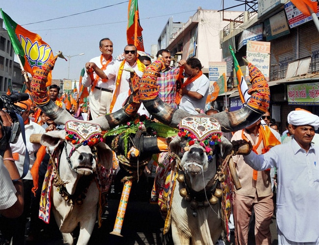 लोकसभा चुनाव 2014: सेलिब्रिटीज में कौन हारा, कौन जीता