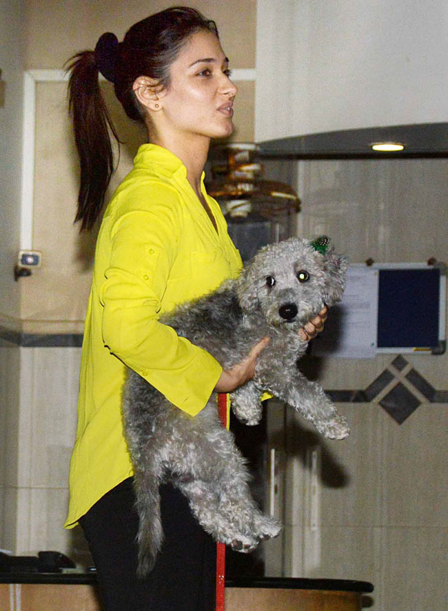 'प्रेगनेंट' जेनेलिया की 'हमशकल्स' टीम के साथ पार्टी