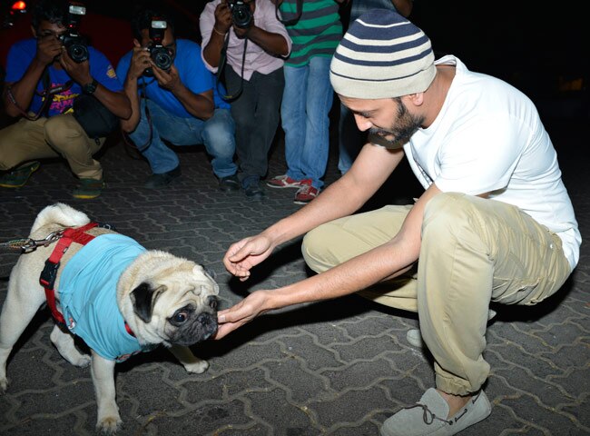 'एक विलेन' की सक्सेस पार्टी में पहुंचे 'दबंग' सलमान खान