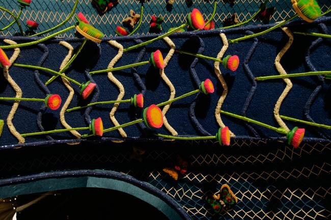 देवी के नौ रूपों की साधना का महापर्व है नवरात्र