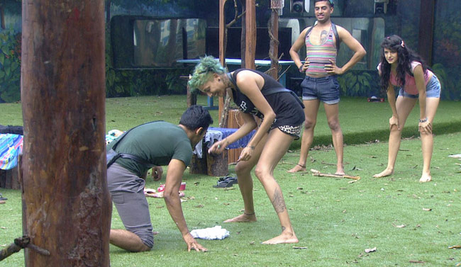 Bigg Boss 8: किचन भी खुला और सीक्रेट सोसायटी का राज भी