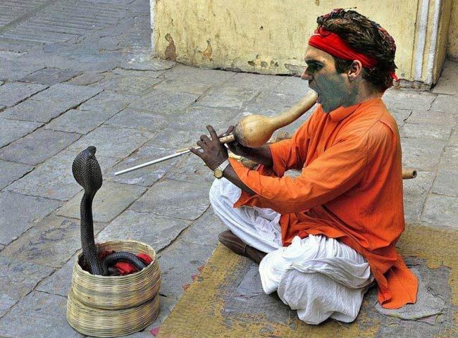 फेडरर साहब, ये देश है अलबेलों का मस्तानों का...