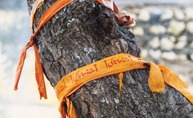 ये हैं पाकिस्तान के ऐतिहासिक हिंदू मंदिर