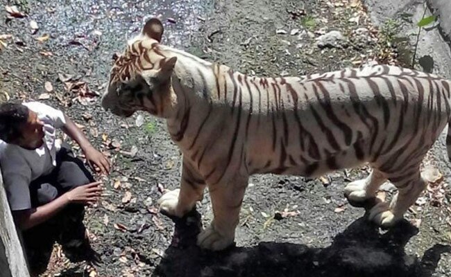 24 सितंबर: तस्वीरों में दिनभर की बड़ी खबरें