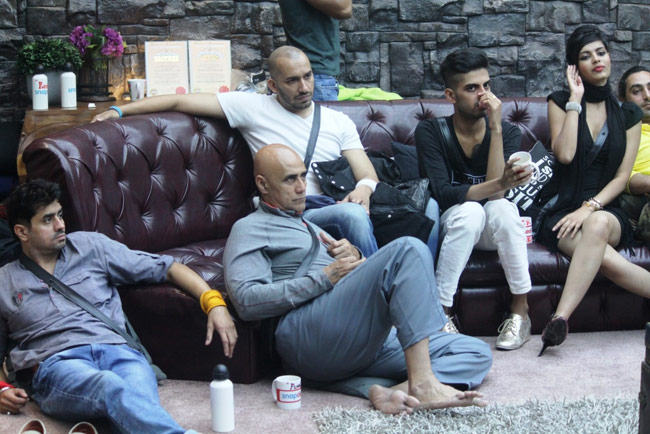 Bigg Boss 8: आज 'बिग बॉस' की अदालत में लगेंग आरोप