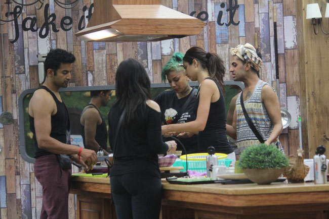 Bigg Boss 8: लग्‍जरी घर में मिला दीशिखा की टीम को प्रवेश