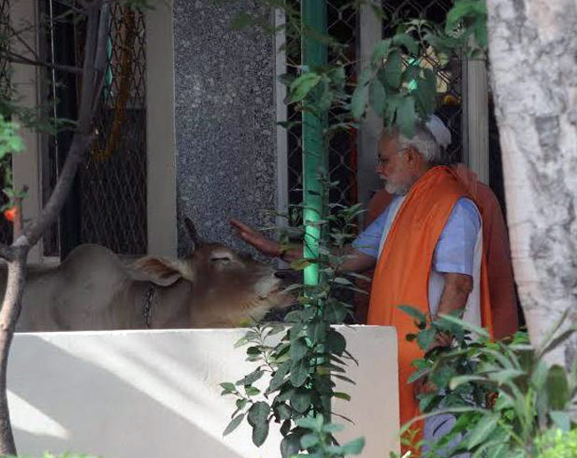 PM नरेंद्र मोदी ने लगाई झाड़ू, उठाया कूड़ा