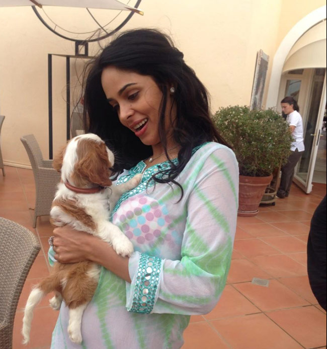 मलिका-ए-हुस्‍न मल्लिका शेरावत की तस्‍वीरें