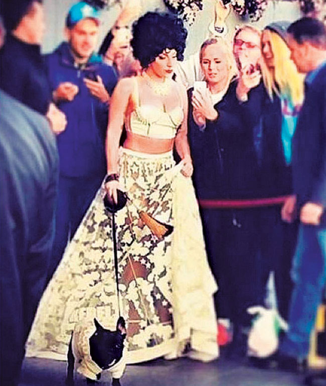 इन इंटरनेशनल सेलेब्रिटीज ने मांगा 'मोर'