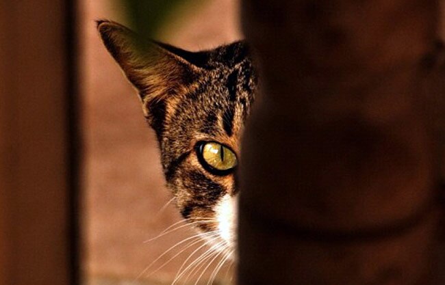 एक्ट‍िंग छोड़ ये क्या करने लगे नील नितिन मुकेश!